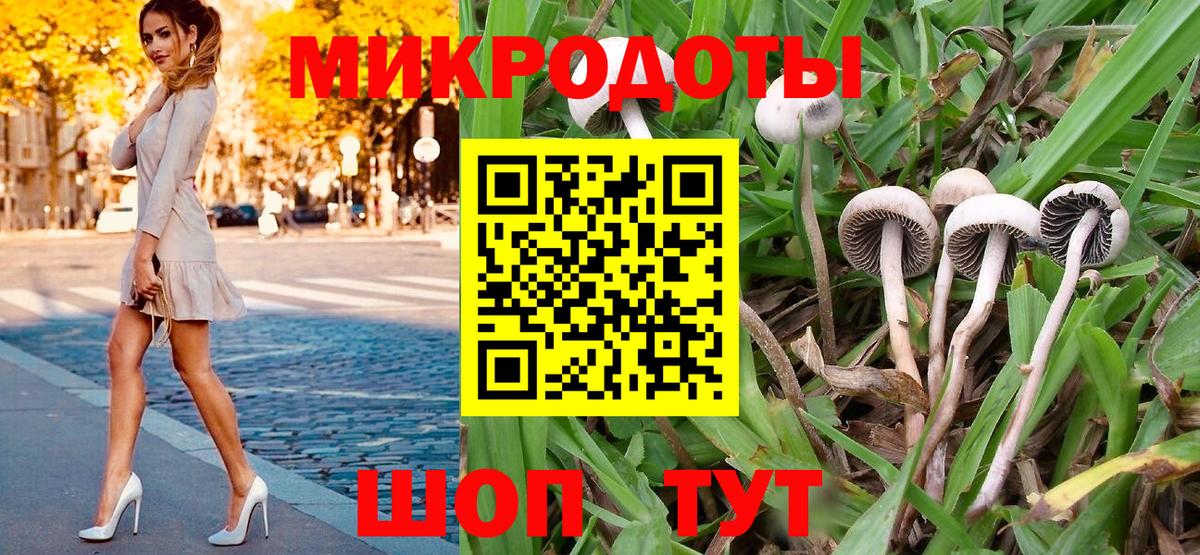 Псилоцибиновые грибы Magic Shrooms  Вход с VPN  магазин продажи наркотиков  Мыски 