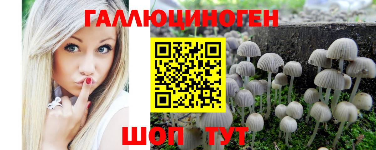 Псилоцибиновые грибы Cubensis Мыски